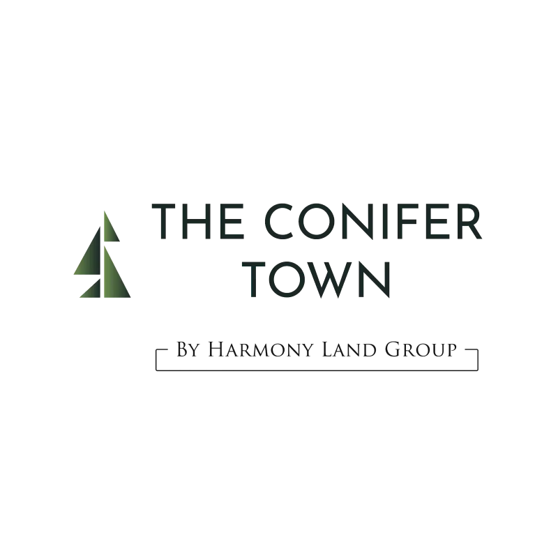 The Conifer Town